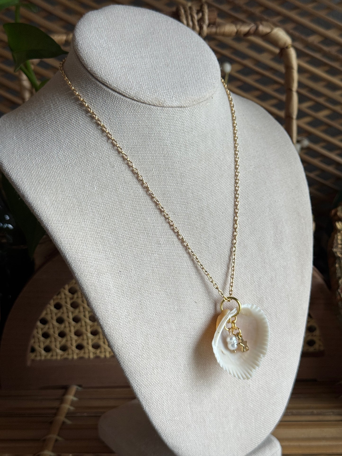 golden star shell necklace
