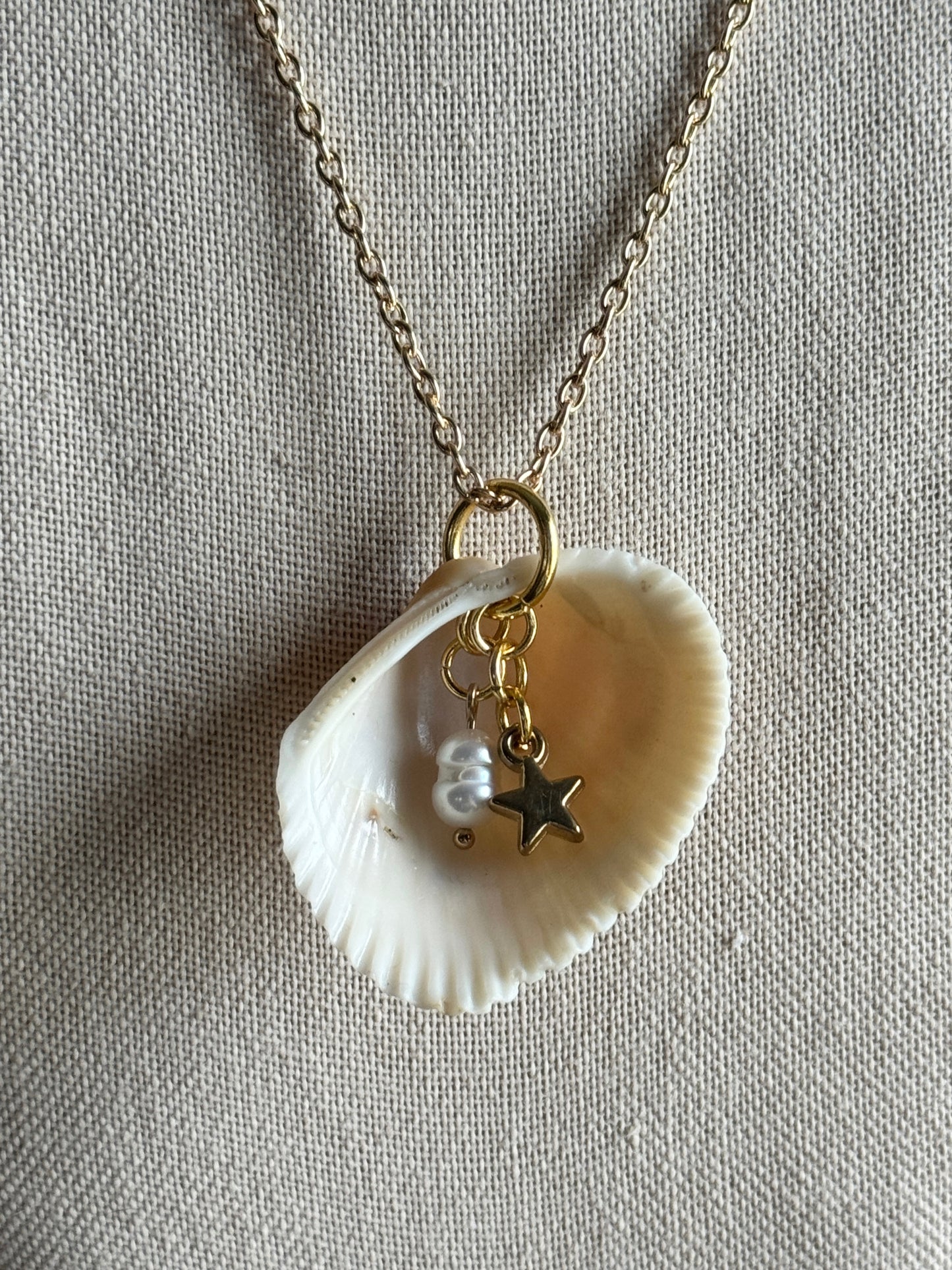 golden star shell necklace