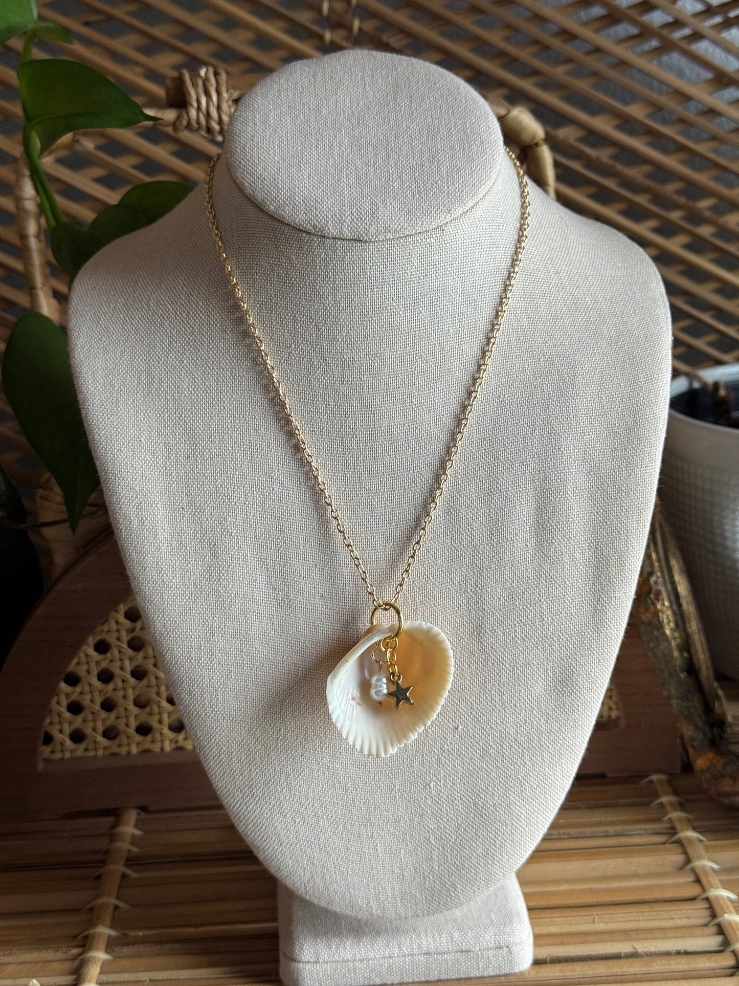golden star shell necklace