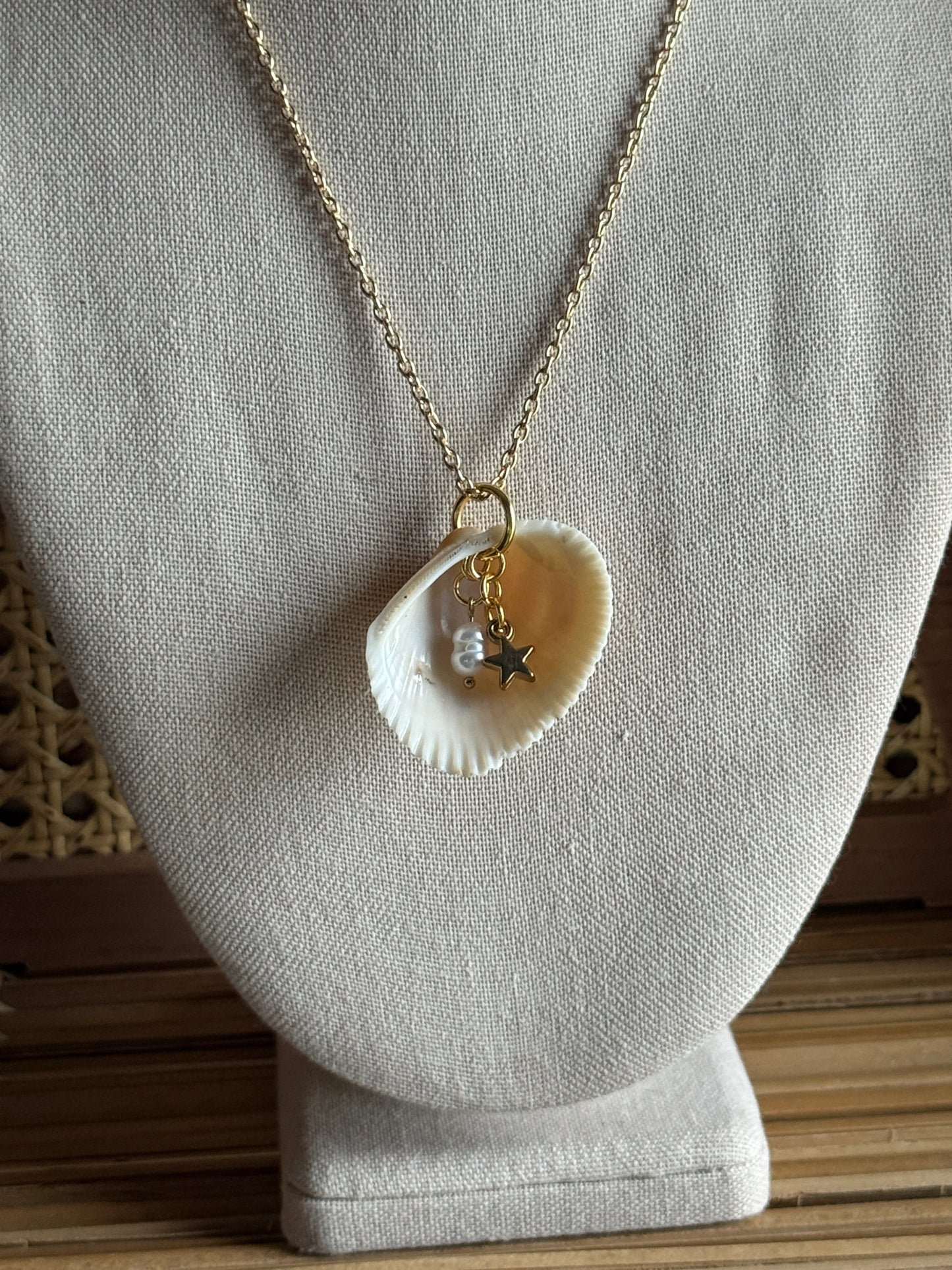 golden star shell necklace